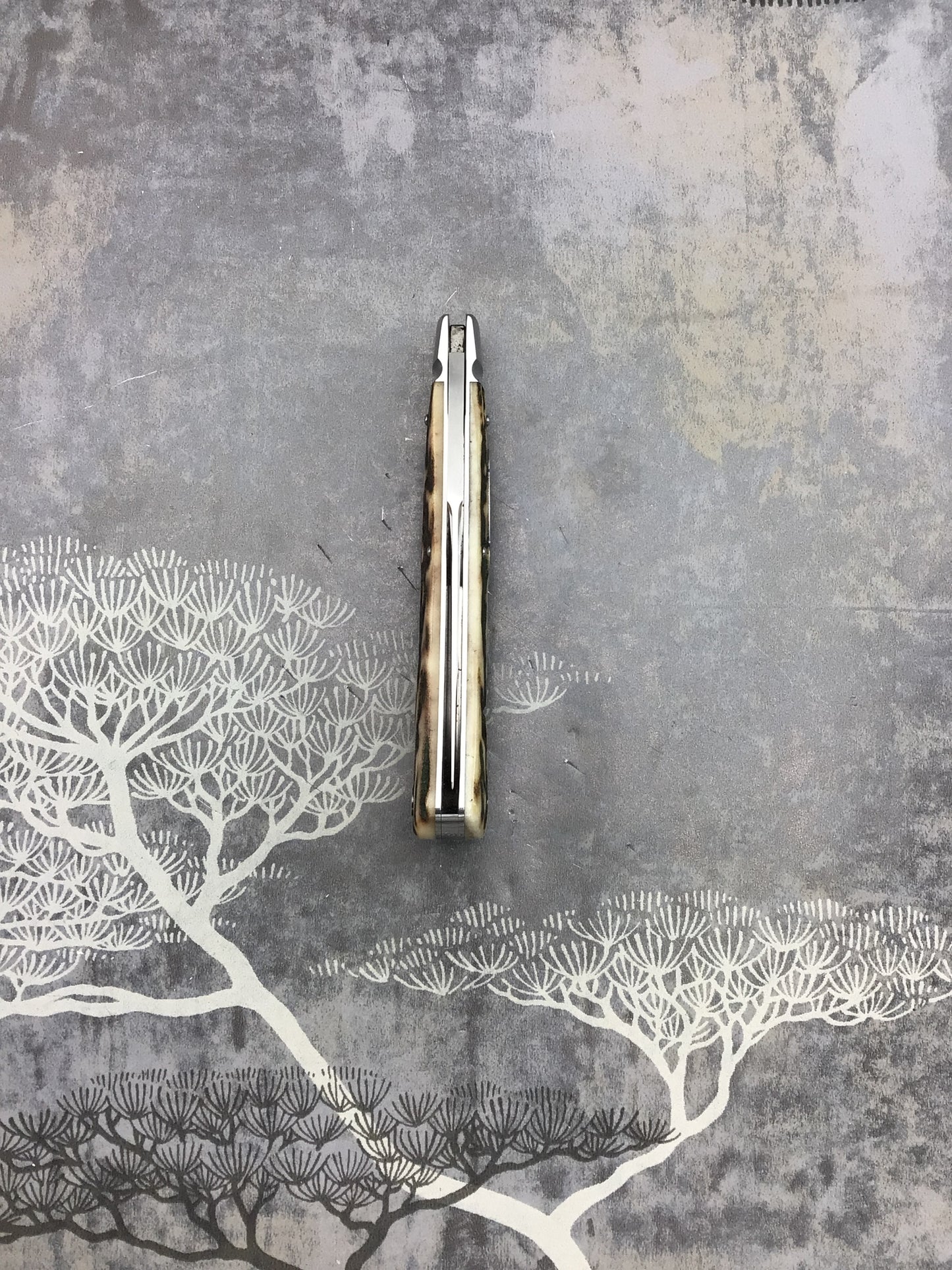 Tony Bose “Back Pocket” with BEAUTIFUL matching Sambar Stag Scales #2