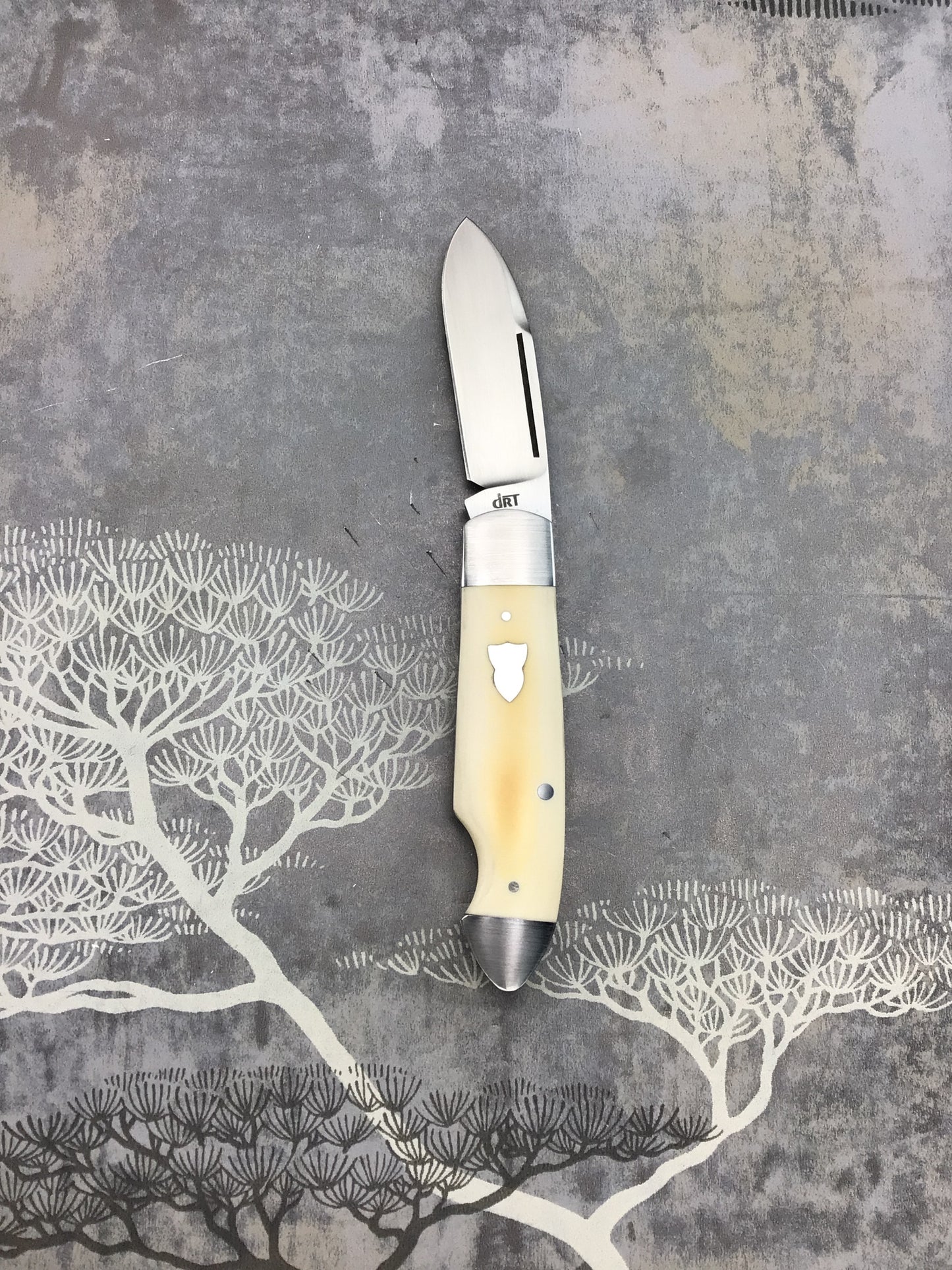 David (dr.t) Taber “EZ Opener Jack” Slipjoint