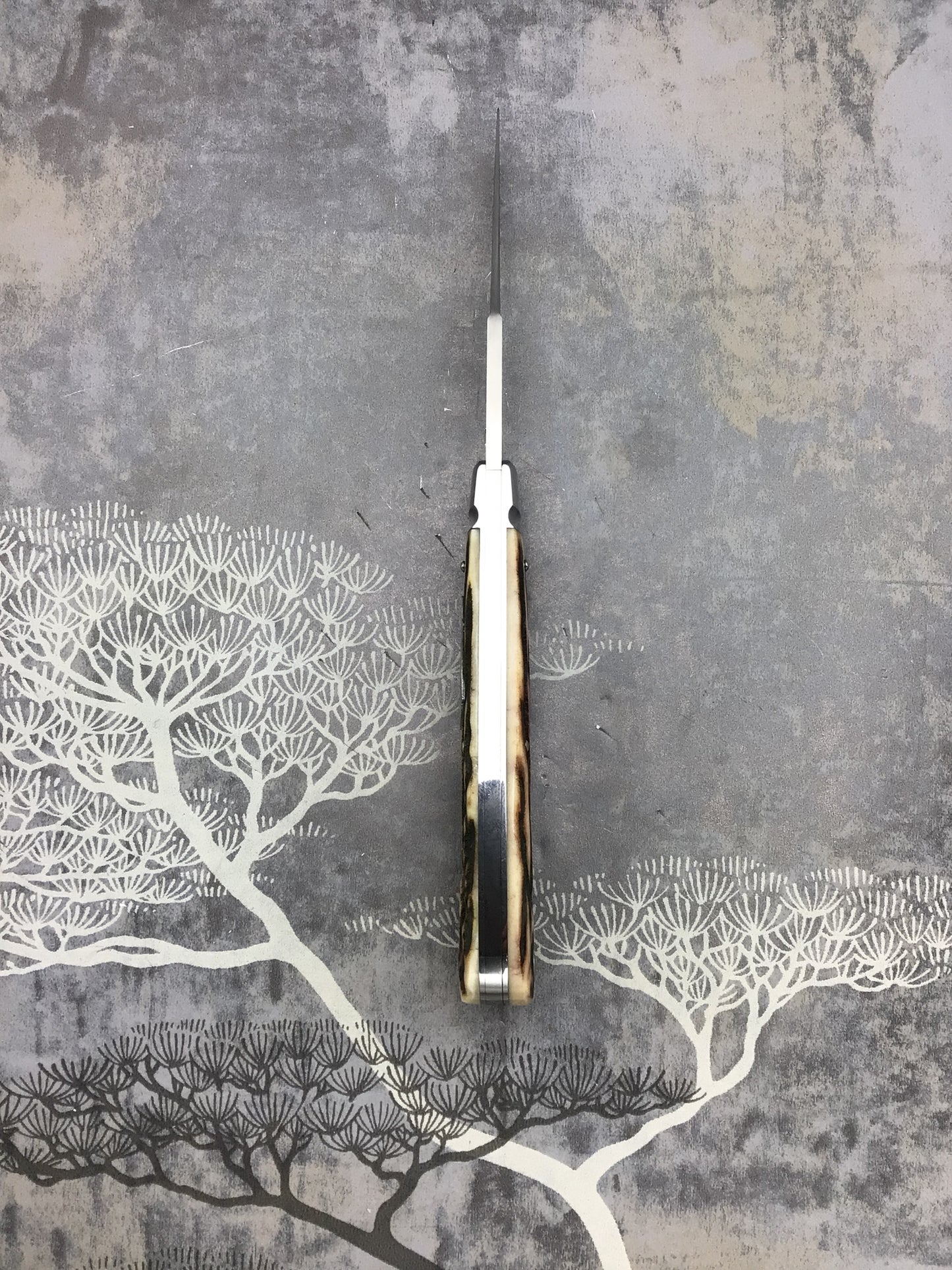 Tony Bose “Back Pocket” with BEAUTIFUL matching Sambar Stag Scales #2