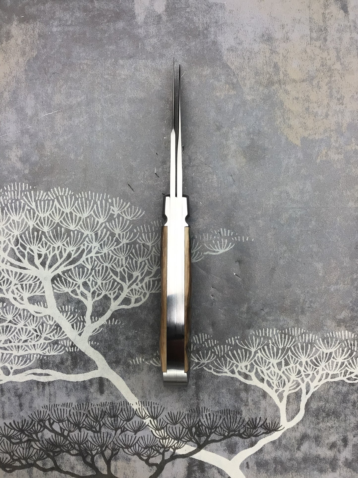 David “dr.t” Taber “Wharncliffe” Trapper with Black Mammoth Ivory Scales.