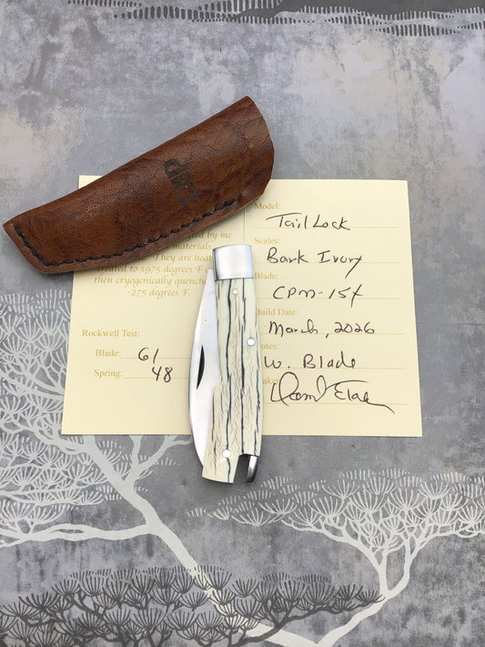 David (dr.t) Taber Tail Lock