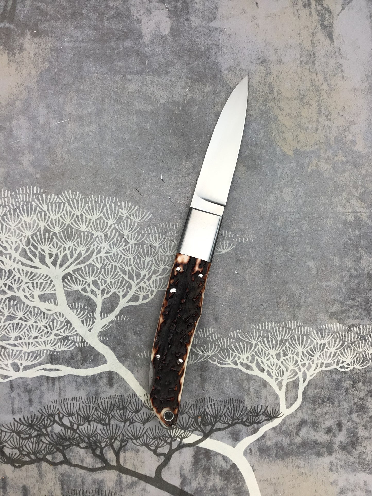 Takeshi Matsusaki “City Knife” with OUTSTANDING Sambar Stag Scales