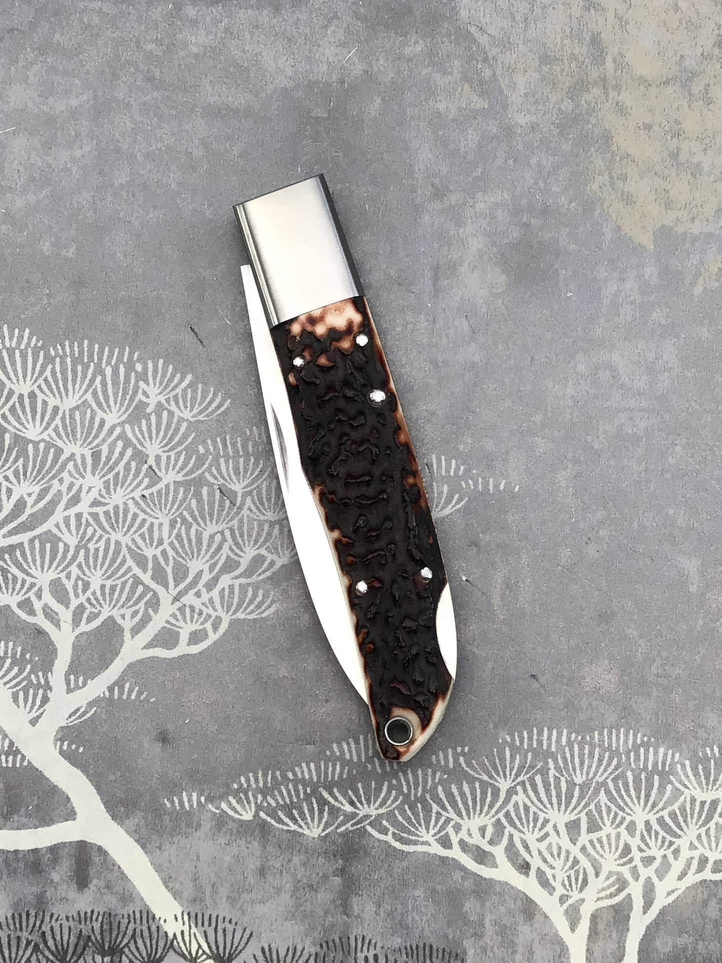 Takeshi Matsusaki “City Knife” with OUTSTANDING Sambar Stag Scales