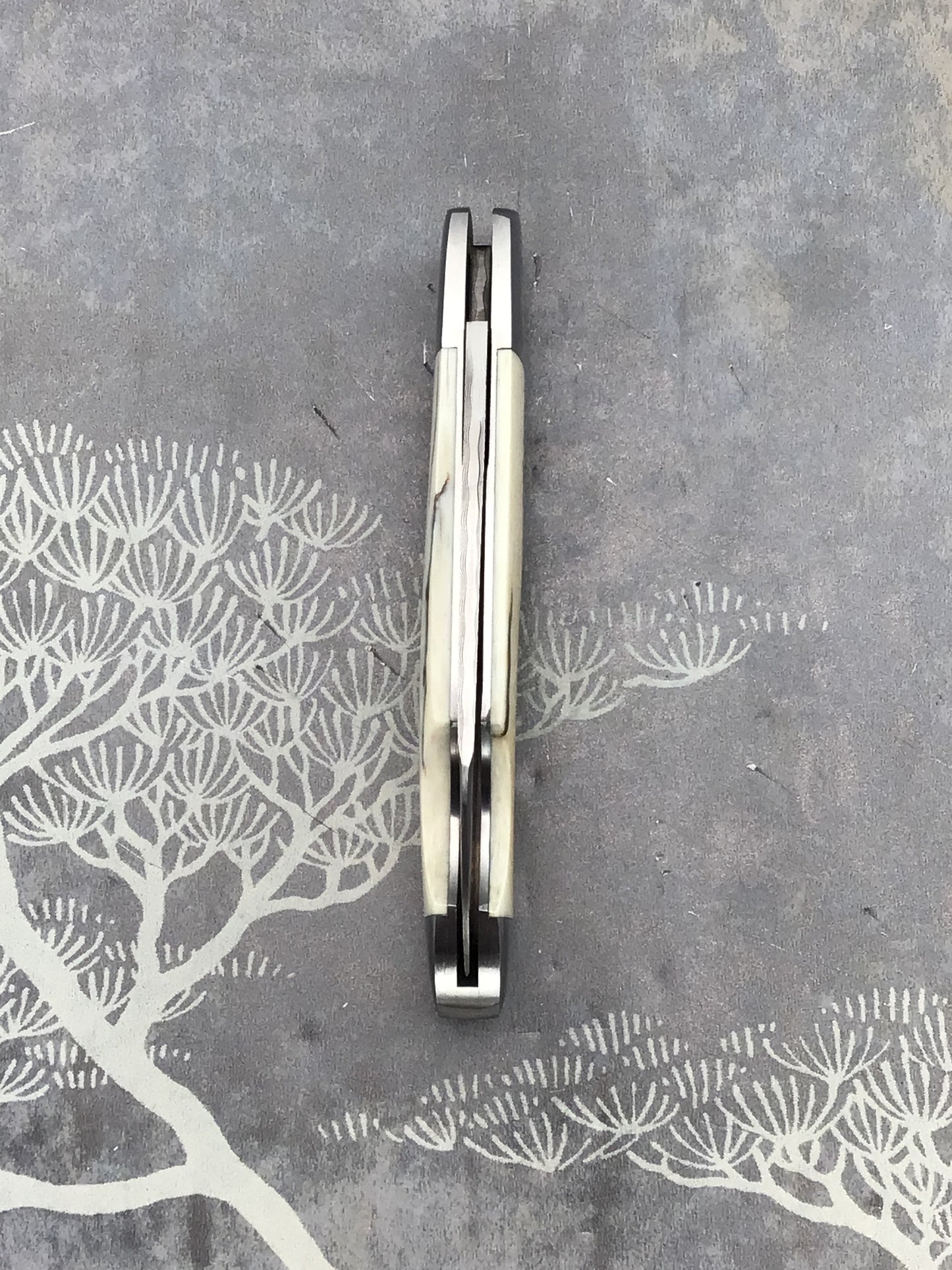 David “dr.t” Taber “ EZ Opener Jack” Slipjoint with Antique Bark E Ivory scales