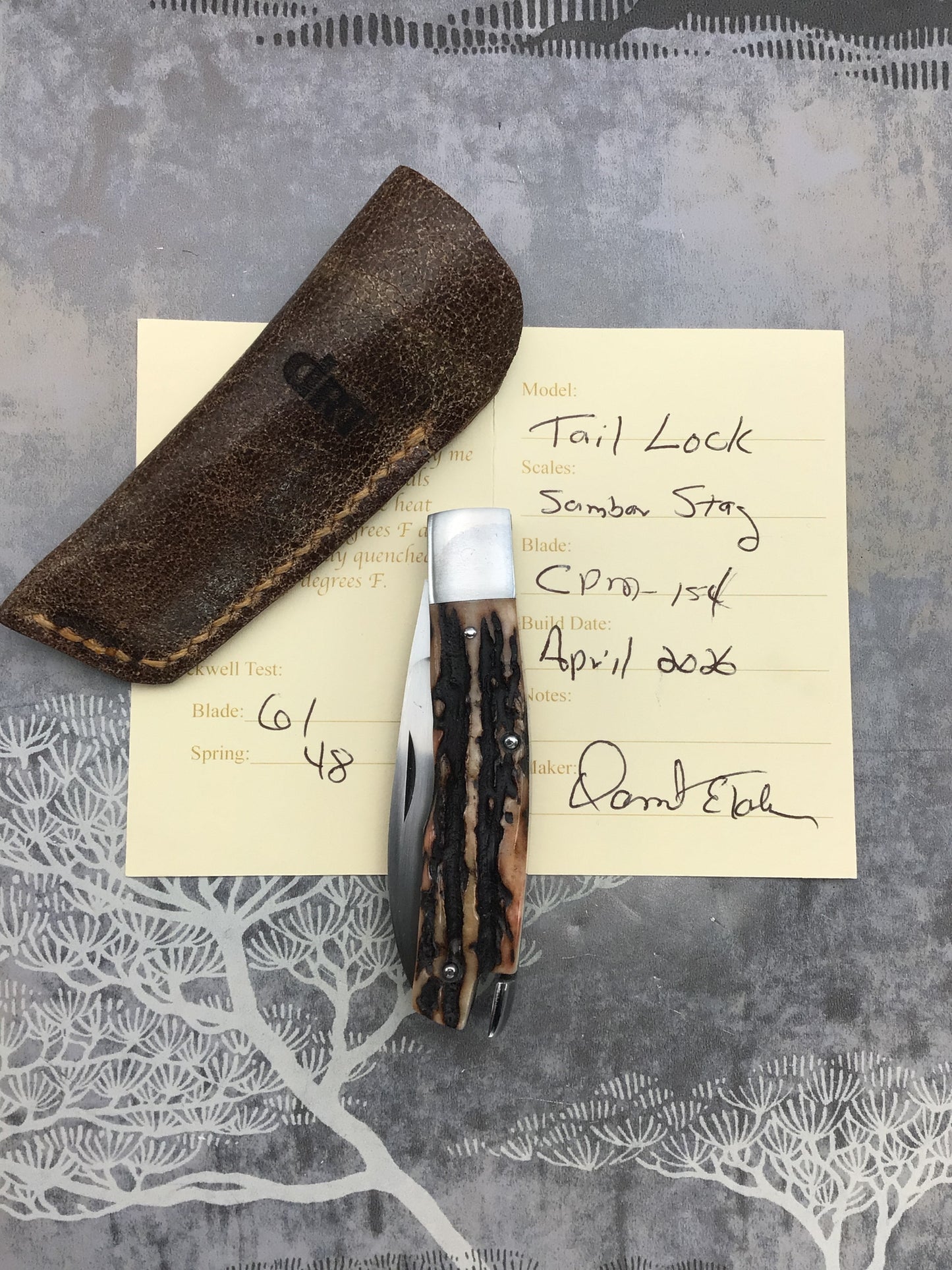 David (dr.t) Taber Tail Lock