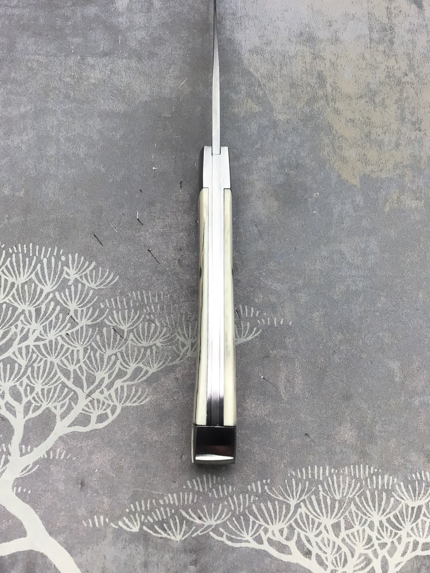 David (dr.t) Taber Tail Lock